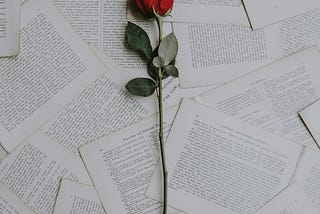 Attributes of Affair Love