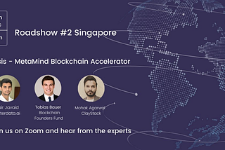 Insight Mula sa Singapore Blockchain Investment: Oasis — Ang MetaMind Blockchain Accelerator…