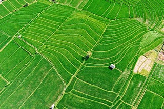 How IoT Technologies benefits the Agriculture all over the World