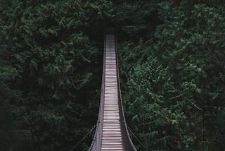 A slatted bridge suspended high over a green ravine.