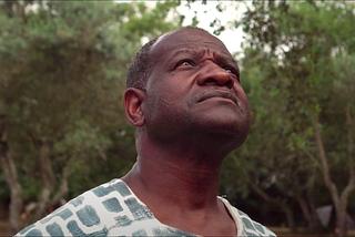 The role of eldership in regenerative transformation
