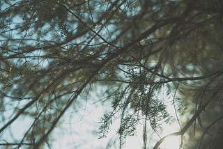 Pruning Stale Branches