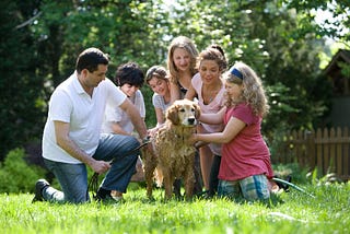 The Interconnected Roles within a Family: A Symbiotic Relationship