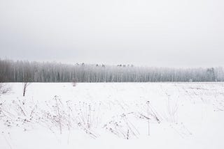 White Winter Full of Color