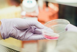 Scientist Grows Male Genitals In A Lab