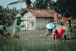 Researching in Java Island using the local language proved to be a unique and insightful way to…