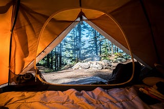 Photo of a forrest seen from within a warm cosy orange tent by Scott Goodwill on Unsplash