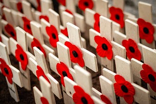 remembrance day photo with some poppies mounted on small wooden crosses