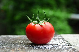 My Neighbor Gave Me The Lovliest Gift: a Bag of Organic Tomatoes