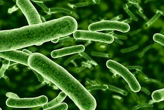The Benefits and Afflictions of Bacteria