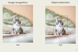 What is Object Detection and how it can turn around your business