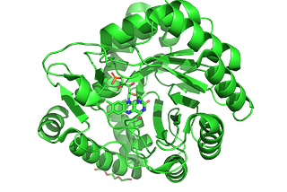 Dihydroorotate dehydrogenase from H. pylori bound. PDB:6BS8. CC BY SBGRID