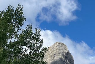 Rock and Root Therapy for Being Here Now