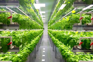 MORE YIELD IN LESS SPACE WITH VERTICAL FARMING