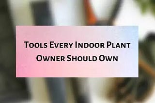 Best tools for indoor planting every plant owner should have -Plantilia