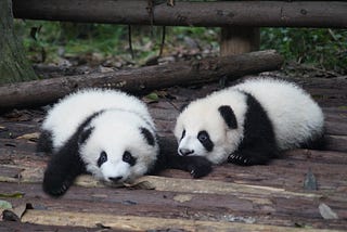 Pandas-Introduction
