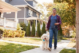 5 Ways To Discipline Your Puppy