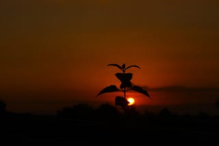 Senja dan Kopi