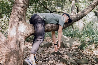 A man laying over the branch of a tree letting his arms and legs hang towards the ground
