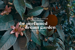 The Perfumed Dream Garden