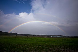 a rainbow in the backdrop of a green pasture