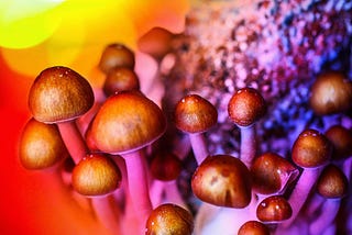 Conversations with ChatGPT: Exploring the Interactions between Psilocybin and Prescription…