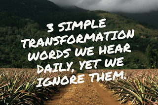 Three simple transformation words we hear daily, yet we ignore them.