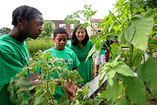 Fall Activities: Planting Seeds for Policy Success