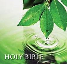 Holy Bible (NIV) | Cover Image