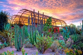 Top 5 Things To Do In Phoenix, Arizona With Kids