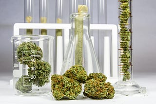A Few Conditions That Medical Marijuana Can Treat