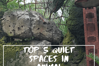 Top Five Quiet Places at Animal Kingdom in Walt Disney World