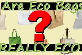 The Case for Reusable Shopping Bags: Are Reusable Shopping Bags REALLY Better For The Environment?
