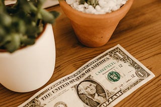 The Fine Art of Frugal Living: Easy Ways To Save Money in 2021