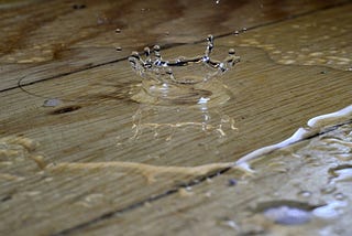 I Could’ve Been a Puddle on the Floor