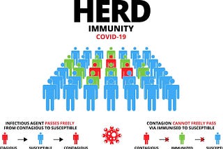 What makes Herd Immunity special and why the buzz around it rose to the top during this COVID…