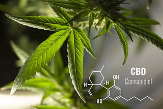 CBD is an abbreviation for cannabinoid.