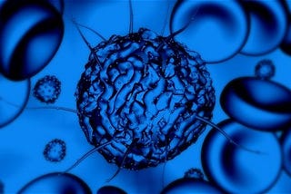 Stem Cells: Self-Renewal and Potency