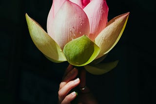 The lotus flower. Symbol of so much including freedom and flying.