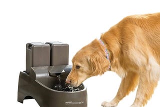 drinkwell-outdoor-dog-fountain-1