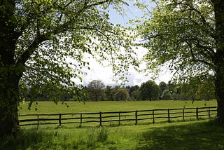 Open green field with a fence running between two large trees.