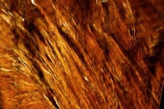 Giving the bones back — Susan Raffo