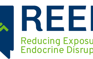 Healthy Nevada Project: Reducing Exposure to Endocrine Disruptors Intervention Study