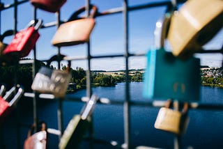 Locks on a metal fence overlooking a lake