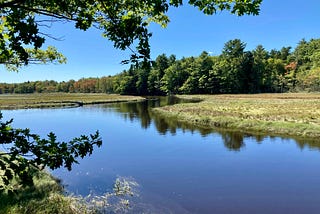 Carson was a passionate advocate for the strength and resilience of natural systems.