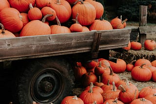 Pumpkin Patch Prejudice