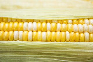 Forecasting with Granger Causality: Checking for Time Series Spurious Correlations