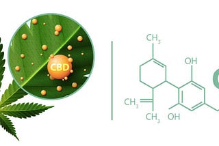 Thera Calm CBD Gummies Your Wait Is Over Rush Today