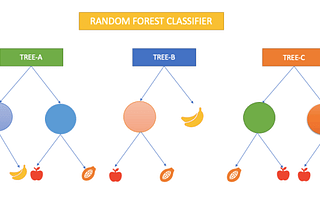 Random Forest Classifier(How Does It Work?)