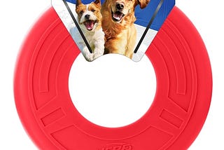nerf-dog-10in-tpr-atomic-flyer-dog-toy-red-1